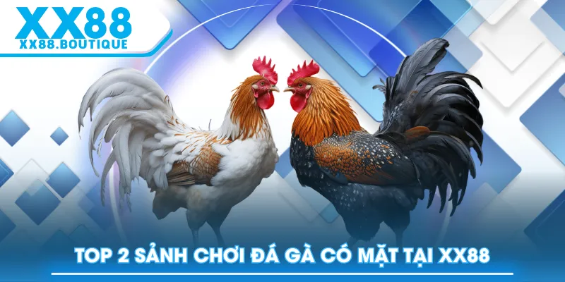 Top 2 sảnh chơi Đá Gà có mặt tại XX88